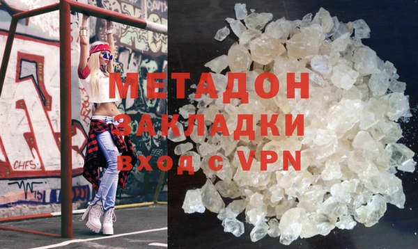 прущие грибы Волоколамск
