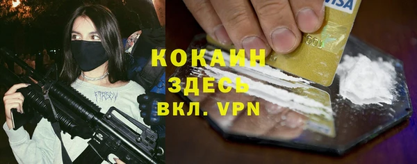прущие грибы Волоколамск