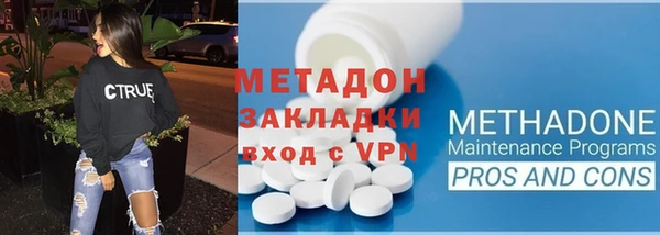 прущие грибы Волоколамск