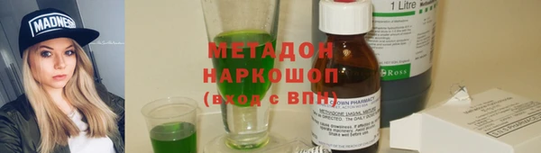 прущие грибы Волоколамск