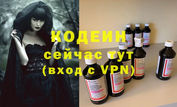 прущие грибы Волоколамск