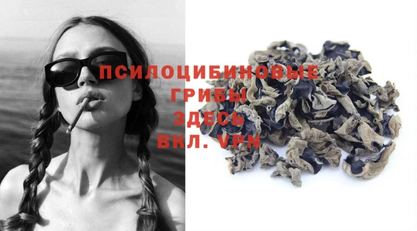 прущие грибы Волоколамск