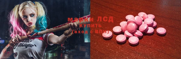 прущие грибы Волоколамск