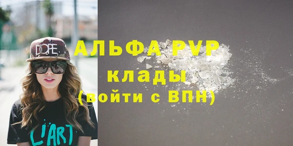 прущие грибы Волоколамск