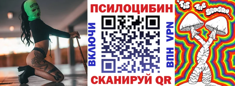 закладка  Сретенск  Псилоцибиновые грибы Magic Shrooms 